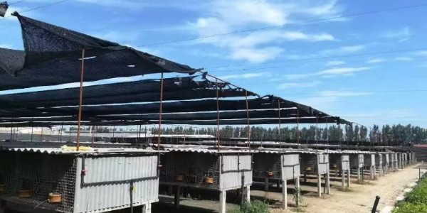 養殖場斷電報警系統，穩定安全運行