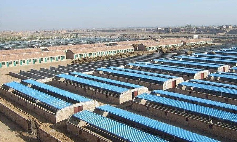 養(yǎng)殖業(yè)環(huán)境監(jiān)控解決方案